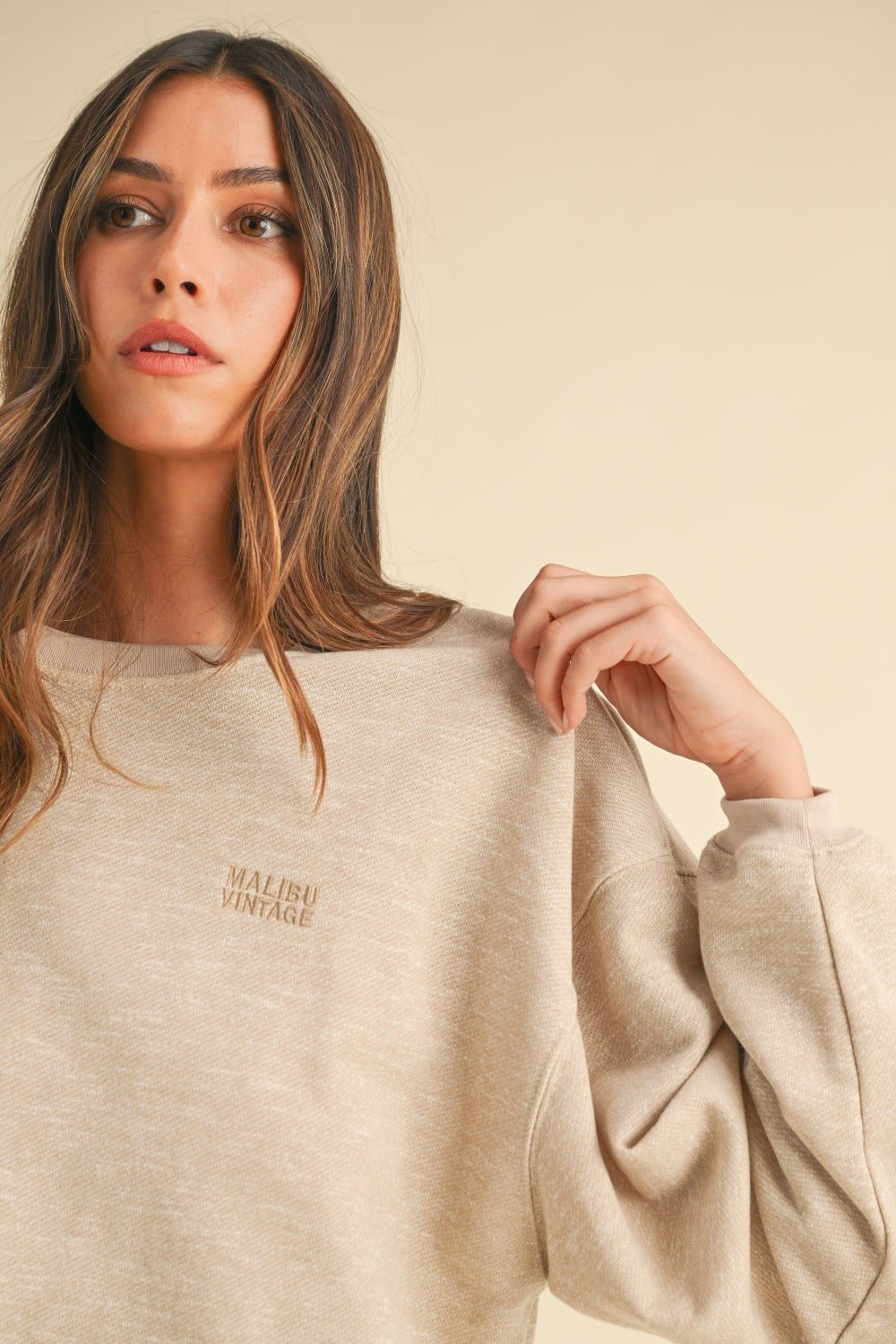 Letter Embroidery Crop Sweatshirt